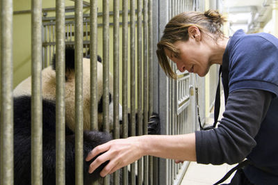 探訪法國博瓦勒動(dòng)物園大熊貓飼養(yǎng)員團(tuán)隊(duì) 守護(hù)中法友誼的動(dòng)物守護(hù)者