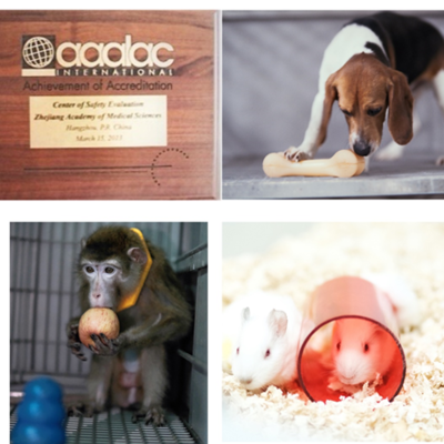 構(gòu)建協(xié)同發(fā)展新格局 動物福利在飼料生產(chǎn)與安全性評價(jià)研究中的核心地位